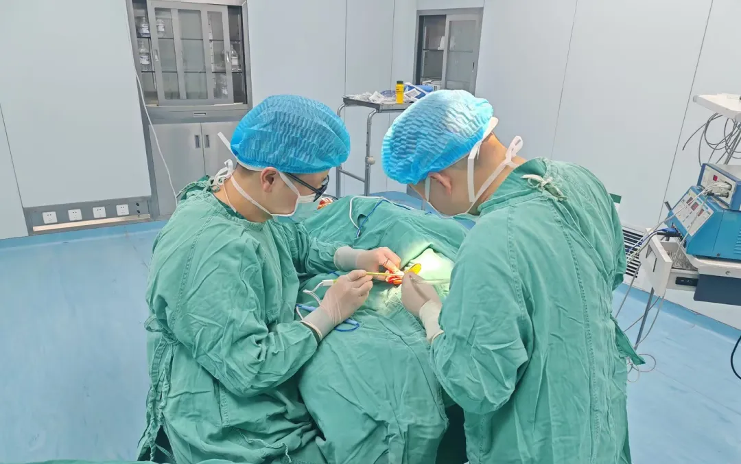 图片3.png 图片3.png