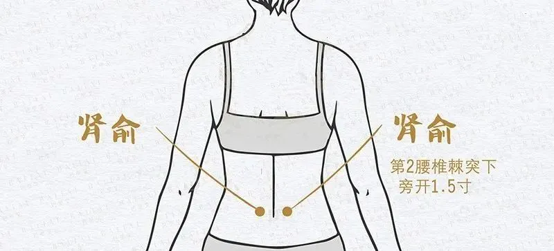 肾俞穴1.jpg