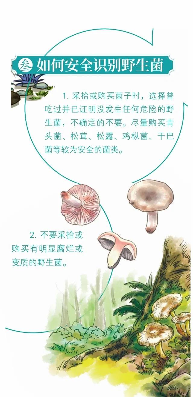 野生菌中毒健康宣教图片