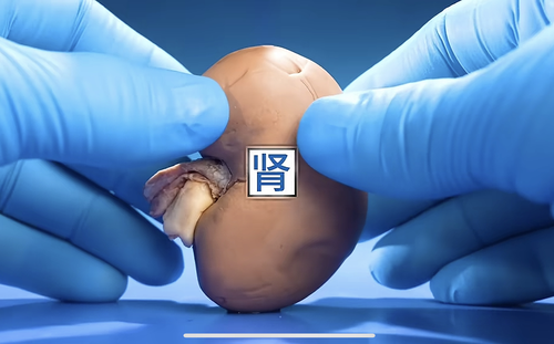 图片1.png00000000000000000000000.png