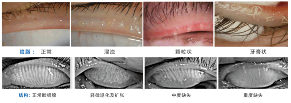 1d43213b-a8a4-48ff-9d98-78ad03e1f2ef.png