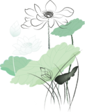 0cf4ee90-d102-46b7-8b02-8e86bab53619.png